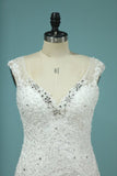 2024 New Arrival Wedding Dresses V Neck Mermaid Tulle With Applique PKGKZCHK