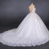 Princess Ball Gown Sheer Neck White Wedding Dresses Lace Appliqued Bridal Dresses STI15293