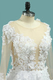 2024 Gorgeous Wedding Dresses A-Line Scoop Long Sleeves Tulle With Applique PZDSNTQL