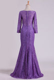 2024 Purple Mother Of The Bride Dresses V Neck 3/4 Length Sleeve Mermaid Lace PAG916GG