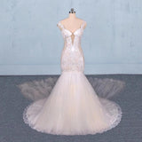 Charming Mermaid Tulle V-neck Wedding Dress, Sheer Back Long Bridal Dresses STI15112