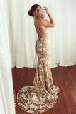 Sexy Mermaid V neck Lace Appliques Long Prom Dresses Spaghetti Straps Formal Dresses STI15342