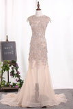 2024 Mermaid Scoop Wedding Dresses Tulle With Applique Court Train P6NT9PTN