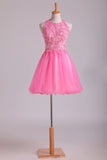 2024 Lovely Homecoming Dresses Scoop A Line Short Tulle With PL75L5AP