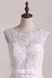 2024 New Style Scoop V Back Sexy Wedding Dress P6K4M3KX