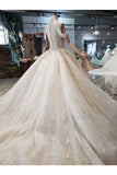 Ball Gown Wedding Dresses High Neck Top Quality Appliques PJDGPQRL