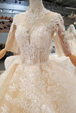 2024 Luxury Wedding Dresses High Neck A-Line Lace Half Sleeves Open Back PQB1S7T4