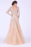 2024 New Arrival Prom Dresses V Neck 3/4 Length Sleeves Organza PJKNFRT1