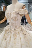 2024 Off-The-Shoulder Ball Gown Lace Lace Up Back Royal Train Wedding Dress PQ25278Y