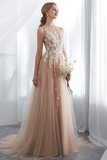 Gorgeous A-line Prom Dress Champagne Applique Long Evening Dress