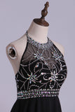 2024 Open Back Halter Short Prom Dress Beaded Bodice A Line Pick Up Chiffon PN248XN1