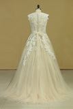 2024 Plus Size V Neck Wedding Dresses Tulle With Applique Court Train P2HA38HF