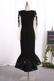 2024 Prom Dresses Sheath Scoop Spandex And Tulle With Applique PBQN7B9N