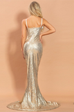 Glitter V-Neck Mermaid Prom Dress Evening Dress