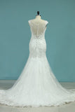 2024 New Arrival Wedding Dresses V Neck Mermaid Tulle With Applique PKGKZCHK