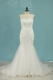 2024 Mermaid/Trumpet Wedding Dresses V-Neck Chapel Train Tulle With PE4LMZMJ