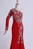 2024 Long Dress One Sleeve Beaded Bodice Sheath/Column With Chiffon PGS4QKP3