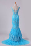 2024 Mermaid Evening Dresses Bateau Tulle With Applique Sweep P1E4NBY6