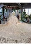 Ball Gown Wedding Dresses V Neck Long Sleeves Top Quality Appliques P5RQDHGP