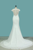 2024 Scoop Mermaid Wedding Dresses Chiffon & PH83RGP4