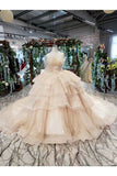 Ball Gown Wedding Dresses Strapless Top Quality Appliques PB8G3TA2