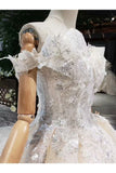 Ball Gown Wedding Dresses Off The Shoulder Top Quality Tulle PDCLPAQB