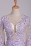 2024 Scoop Long Sleeves Prom Dresses With Applique And Beads A P7JFEGCP