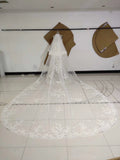 3M Long Embroidered Lace Appliques Tulle Cathedral Veil for Wedding, Wedding Veils STI14988