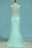 2024 Prom Dresses Mermaid Scoop With Applique And P2524PC1