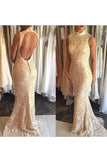 2024 Evening Dresses High Neck Lace Mermaid Sweep Train P92P2163