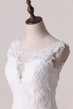 2024 Wedding Dresses Scoop A Line Tulle P6FMSQDC