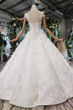 2024 New Wedding Dresses Short Sleeves Ball Gown Lace Up Back PNBE96XT