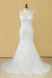 2024 Plus Size Mermaid Wedding Dresses V Neck With Beads And Applique Court Train PD7P5SFG