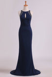 2024 Spandex Scoop With Beading Sheath Evening Dresses Open Back P8Q9B65F