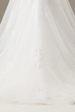 Applique Beading Ball Gown Wedding Dress