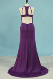 2024 New Arrival Spaghetti Straps Open Back Spandex Mermaid PK91917T