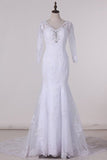 2024 V-Neck 3/4 Length Sleeve Wedding Dresses Mermaid Tulle With Beads And Applique PZNLFRB8