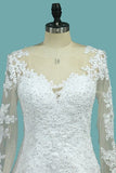 2024 Tulle Wedding Dresses Scoop Long Sleeves A Line With Applique PCFLYTTX