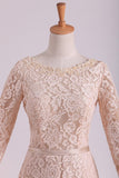 2024 Long Sleeves Wedding Dresses Scoop Lace With Sash Sweep Train PHYPX92N