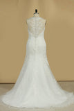 2024 Wedding Dresses V Neck Organza With Applique And PABJKBQQ