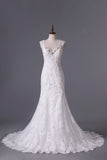 2024 V Neck Trumpet Wedding Dresses With Applique PL27FSLG