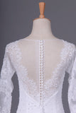 2024 Wedding Dresses Scoop Long Sleeves Spandex Court Train PFH7L1MS