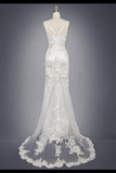 Tulle Appliques Wedding Dresses V Neck P9E6464Q