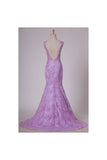 2024 V-Neck Tulle Evening PTLKS4BY