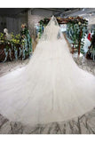 Ball Gown Wedding Dresses Scoop Aline Top Quality Appliques P69G5466