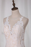 2024 New Arrival Wedding Dresses Mermaid Scoop Lace With Applique PED258AN