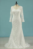 2024 Wedding Dresses V Neck Sheath With Applique Long Sleeves PMB6MAHM