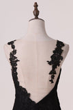 2024 Open Back Bateau Dark Navy Evening Dresses Mermaid Tulle PB9P29C8