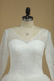 2024 Wedding Dresses A-Line V-Neck Chapel Train Tulle PQNL5EBB