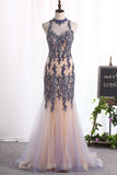 2024 New Arrival High Neck Mermaid Prom Dresses Tulle With Applique P6JK138G